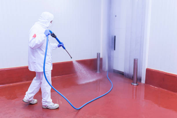 Best Soft Washing  in Geneva, FL