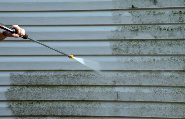 Professional Pressure Washing Services in Geneva, FL
